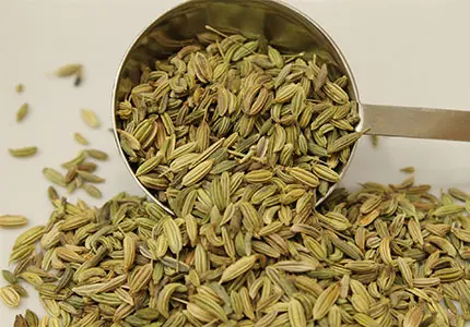 Fennel Seed Extract