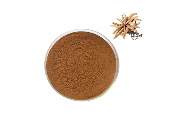 cordyceps sinensis extract manufacturer