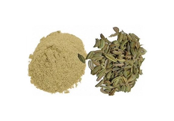 fennel seed extract powder manufacturers