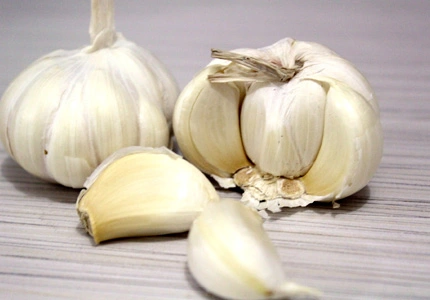 garlic extract 02
