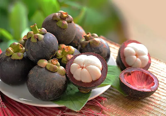 Mangosteen Extract