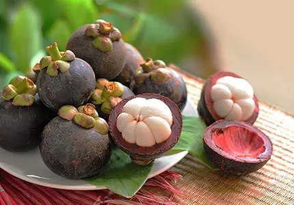 Mangosteen Extract