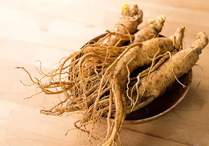 Panax Ginseng Extract