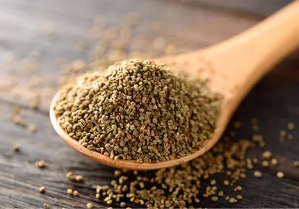 Celery Seed Extract