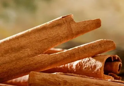 Cinnamon Bark Extract