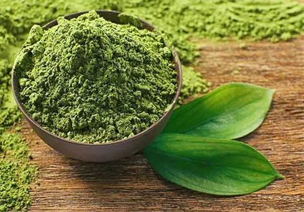 Organic Matcha Powder