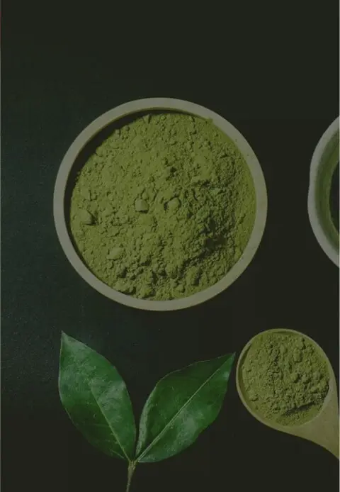 Function Food & Beverage