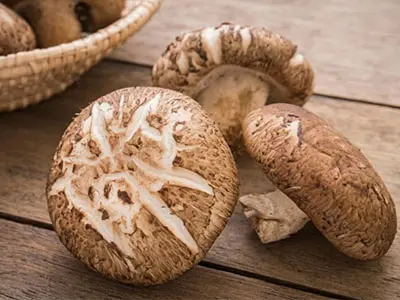 The Benefits and Functions of Shiitake Mushroom Powder