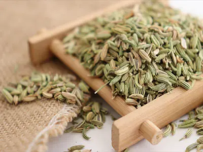 The Efficacy and Role of Fennel Powder