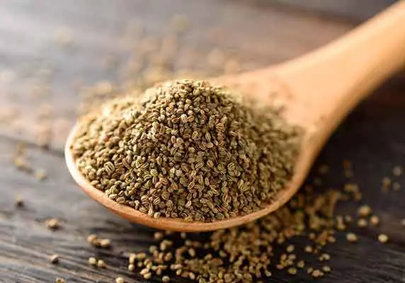 celery seed extract