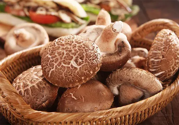 organic shiitake