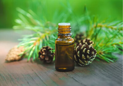 Benefits of Maca Extract for Physical Health and Analysis of the Application of Maca Extract