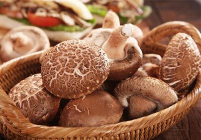 Exploring the Benefits of Shiitake Mushroom Powder Extract