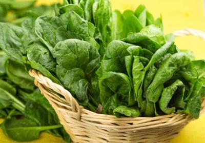 Unlocking the Power of Organic Spinach Powder: Health Benefits, Storage Tips, and Recipes