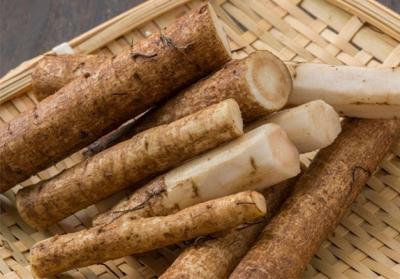 Unlocking the Healing Power of Burdock Root Powder: Benefits, Uses, and Recipes