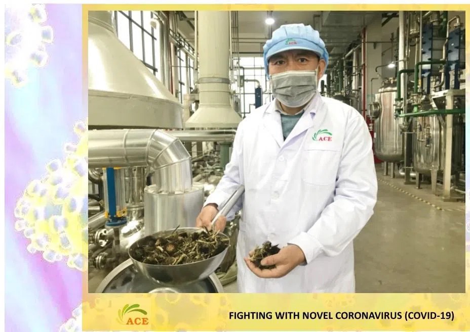 maca-powder-manufacturer.jpg