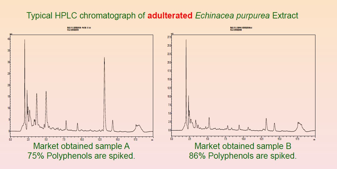 Echinacea Extract Chromatograph