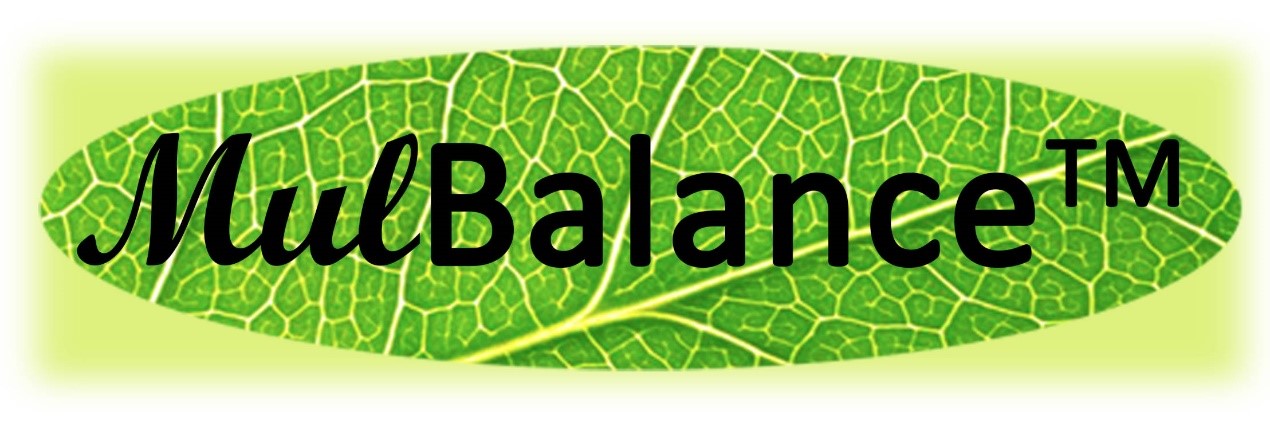 Mulbalance Mulberry Leaf Extract Logo