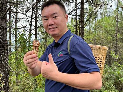 ACE had a wild mushroom exploring tour around Shangri-La mountain.
