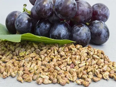 What are the effects of grape seed extract?
