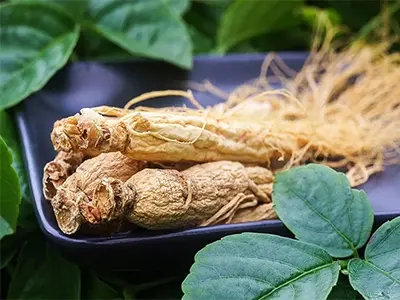 Application range and function of panax ginseng extract