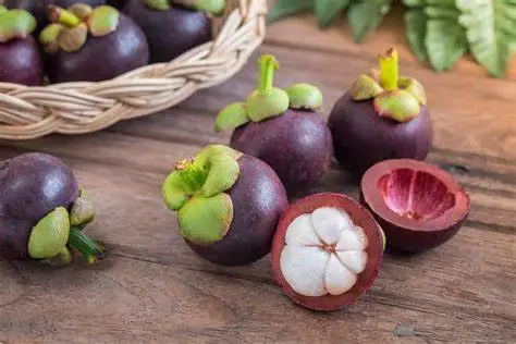 What Are the Benefits of Mangosteen Extract?