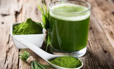 The Effect and Difference Between Kale Powder and Barley Grass Juice Powder