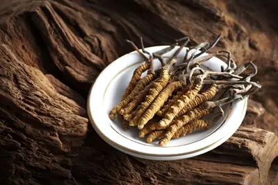 Boosting Energy and Stamina: How Cordyceps Sinensis Extract Can Help