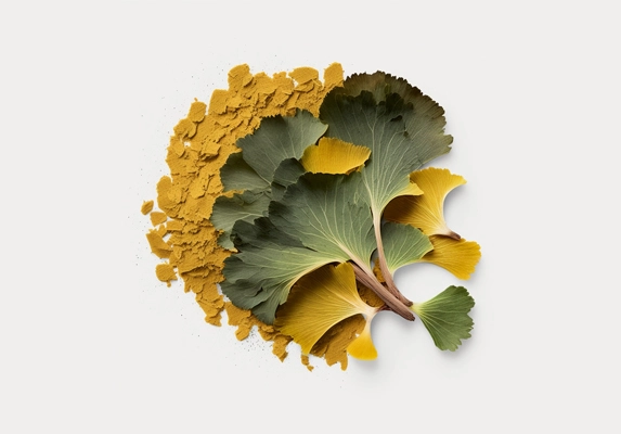 ginkgo biloba extract factory