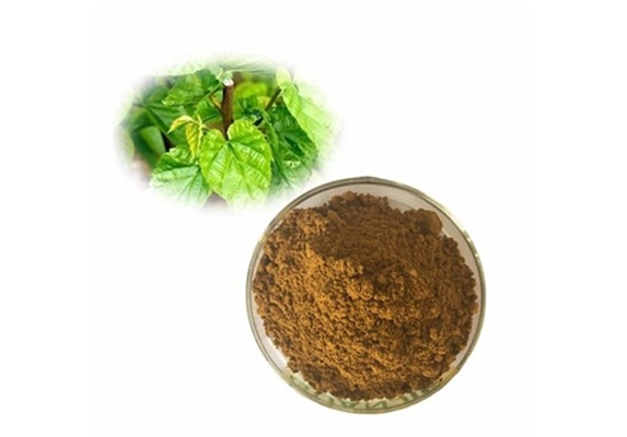 mulberry leaf extract supplier