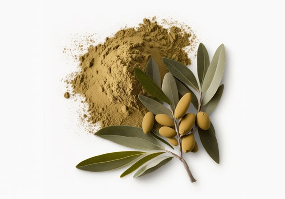 olive leaf extract manufacturer