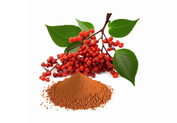 schisandra extract 1