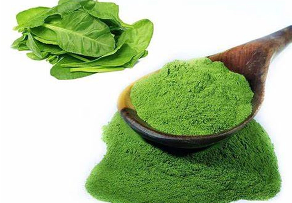 organic spinach juice powder