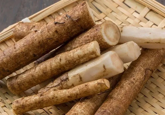 organic burdock root