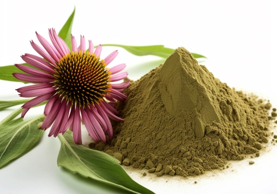 echinacea extract factory