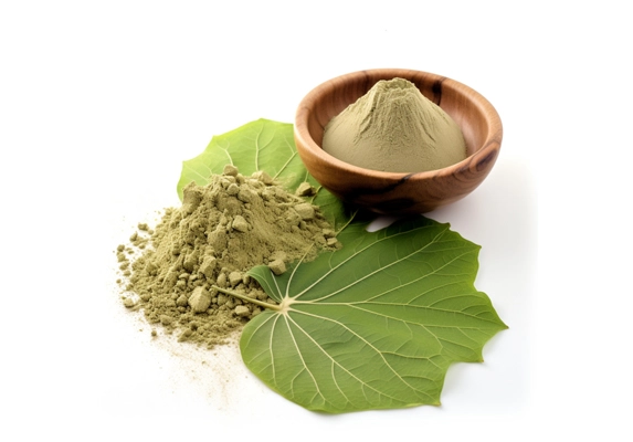 lotus leaf powder extract