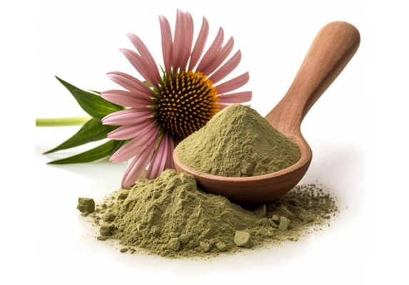 organic echinacea powder