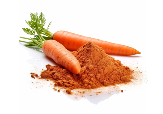 organic carrot powder price 2