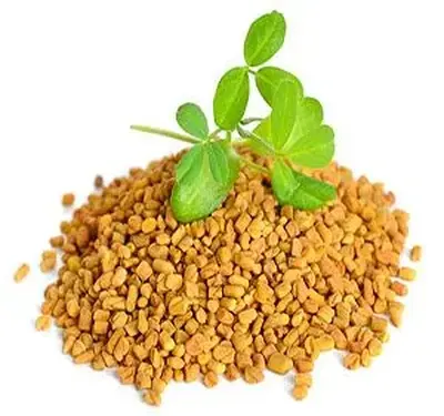 Application of Fenugreek Extract in Pharmaceutical and Health Product Industries