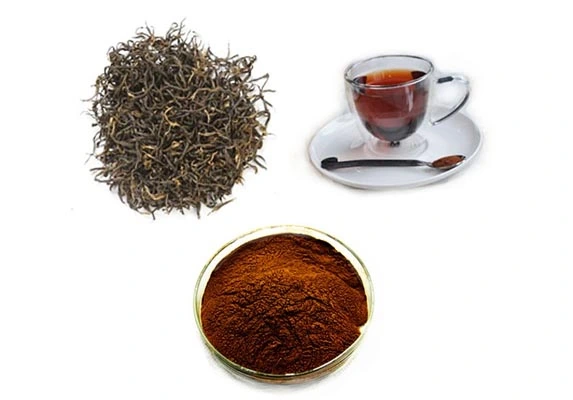 Instant Black Tea Extract