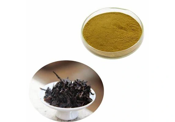 Instant Pu-Erh Tea Extract