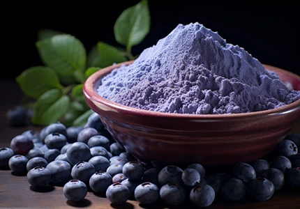 Blueberry Juice Powder