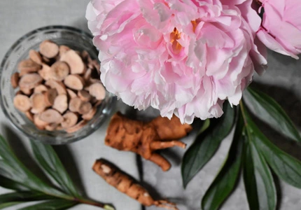 Peony Root Extract