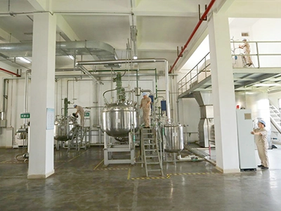 organic kale powder manufacturer